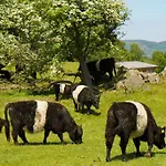 Σπίτι διακοπών Mungeon Barn - Uk30125