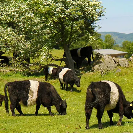 Mungeon Barn - Uk30125 * Backbarrow
